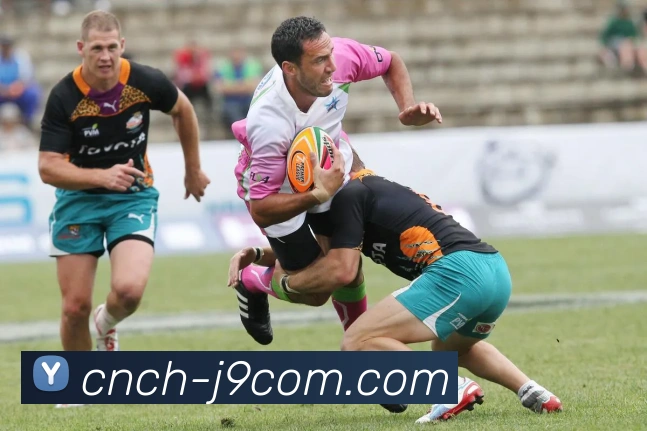 J9COM公司官网平台生态图